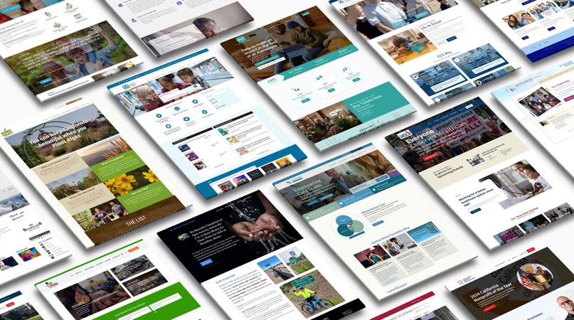 Business Website